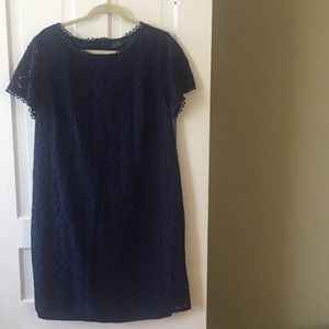 Adrianna Papell lace dress in navy, size 16W! 😍